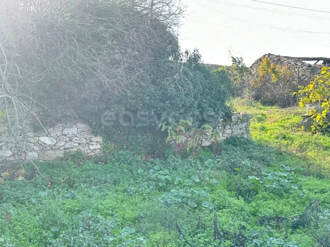 Moradia T3 para Venda em Felgar e Souto da Velha Foto 10