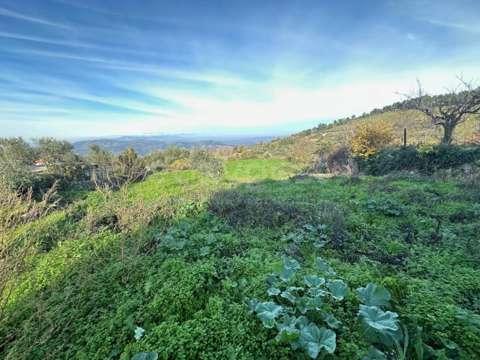 Moradia T3 para Venda em Felgar e Souto da Velha Foto 13