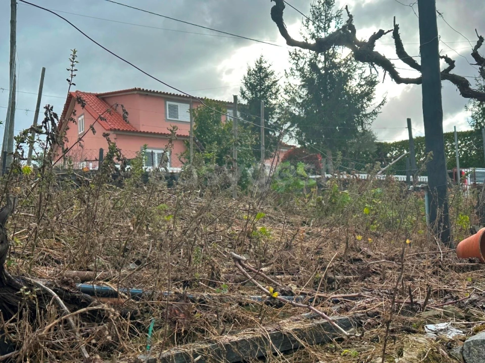 Moradia T3 para Venda em Vila Nova de Foz Côa Foto 12