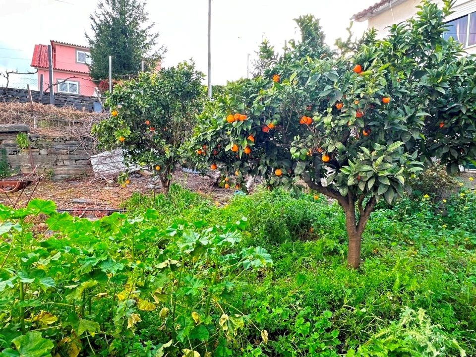 Moradia T3 para Venda em Vila Nova de Foz Côa Foto 13