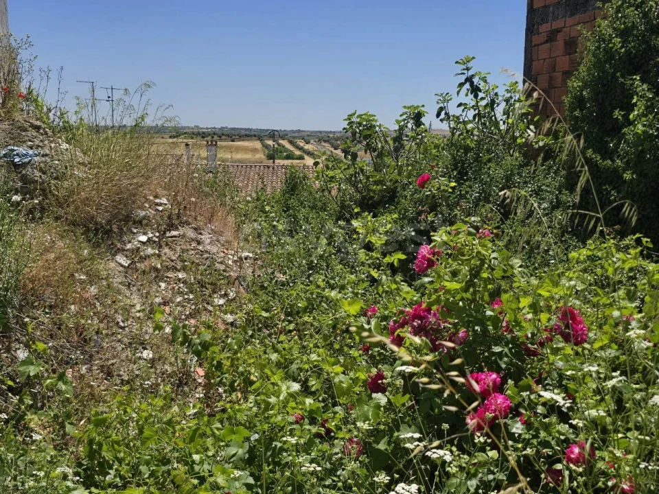 Moradia T3 para Venda em Beja (Santiago Maior e São João Baptista) Foto 15