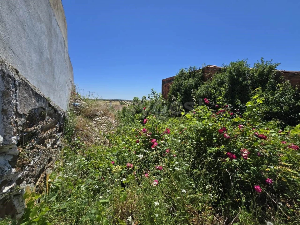 Moradia T3 para Venda em Beja (Santiago Maior e São João Baptista) Foto 16
