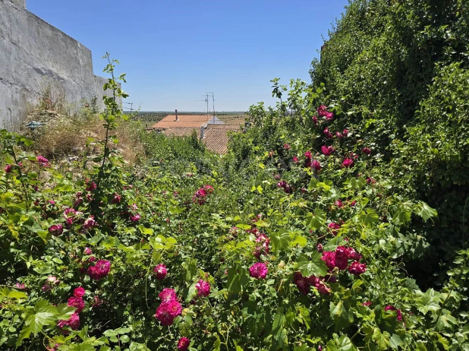 Moradia T3 para Venda em Beja (Santiago Maior e São João Baptista) Foto 19