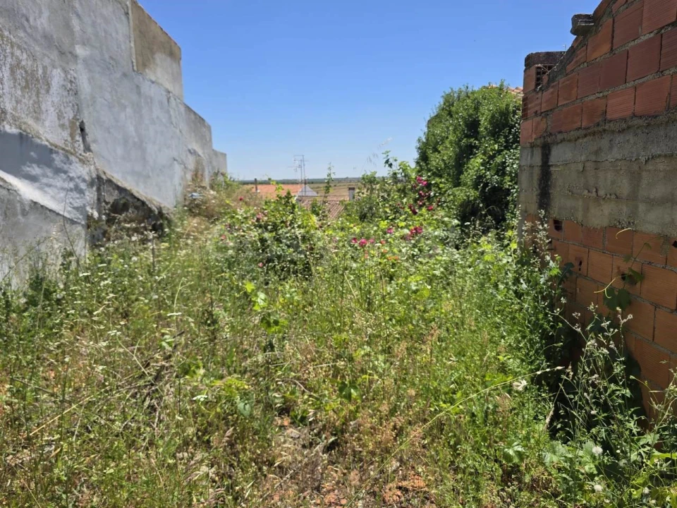 Moradia T3 para Venda em Beja (Santiago Maior e São João Baptista) Foto 20