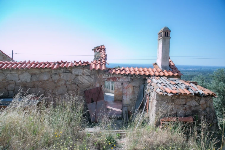 Terreno Agricola ou Rústico para Venda em Vale de Prazeres e Mata da Rainha Foto 6