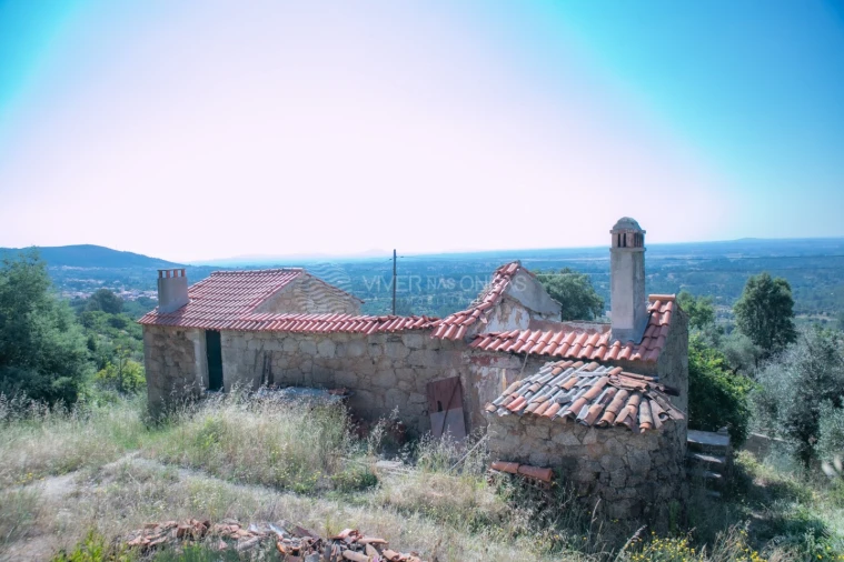 Terreno Agricola ou Rústico para Venda em Vale de Prazeres e Mata da Rainha Foto 7