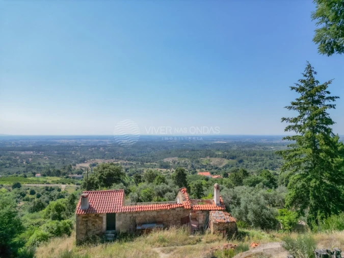Terreno Agricola ou Rústico para Venda em Vale de Prazeres e Mata da Rainha Foto 8