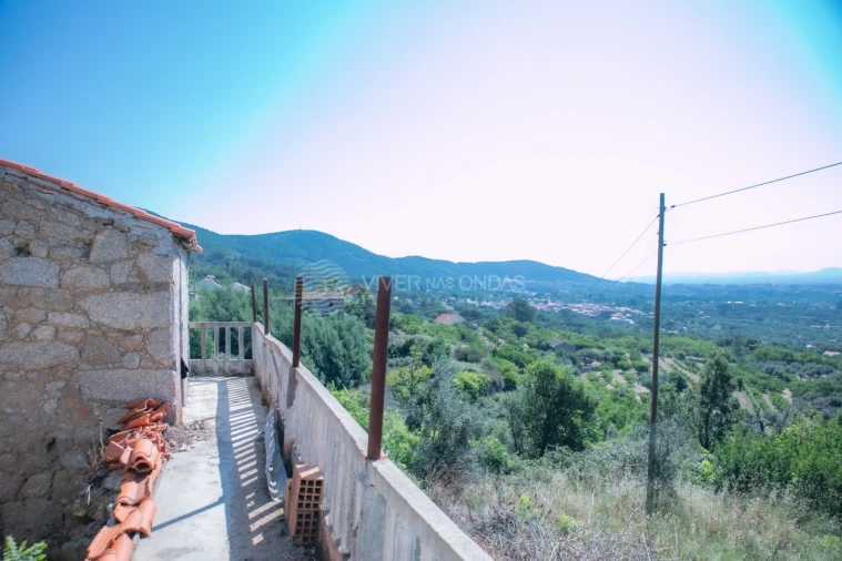 Terreno Agricola ou Rústico para Venda em Vale de Prazeres e Mata da Rainha Foto 11