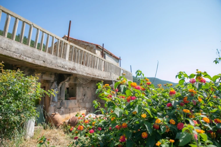 Terreno Agricola ou Rústico para Venda em Vale de Prazeres e Mata da Rainha