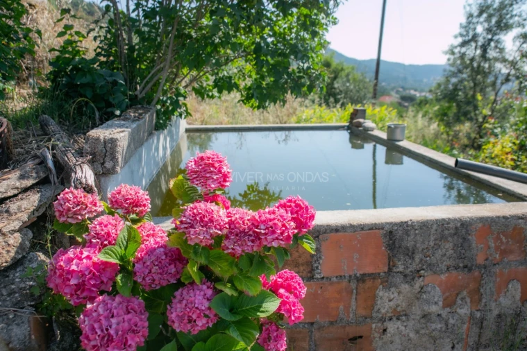Terreno Agricola ou Rústico para Venda em Vale de Prazeres e Mata da Rainha Foto 12