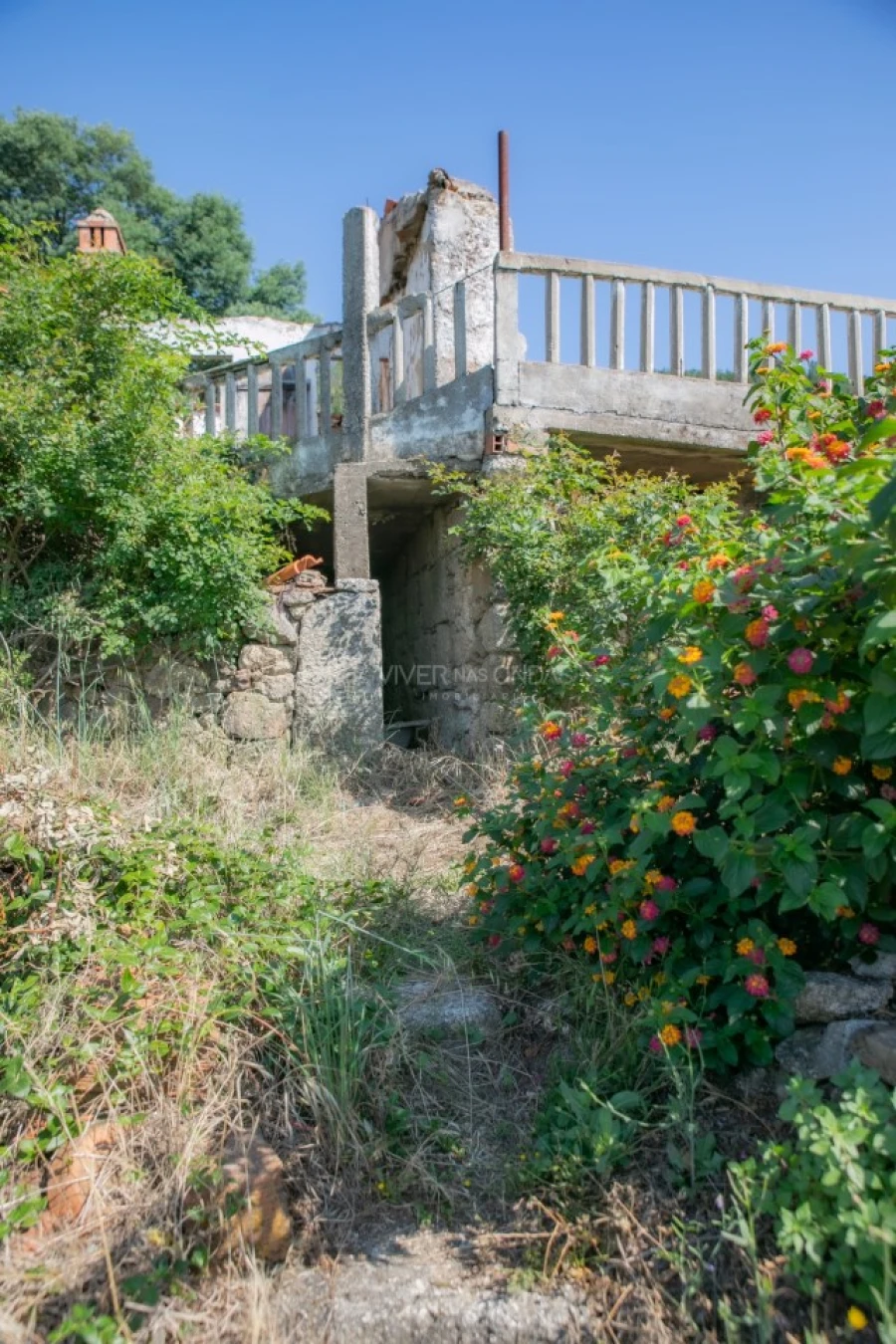 Terreno Agricola ou Rústico para Venda em Vale de Prazeres e Mata da Rainha Foto 14
