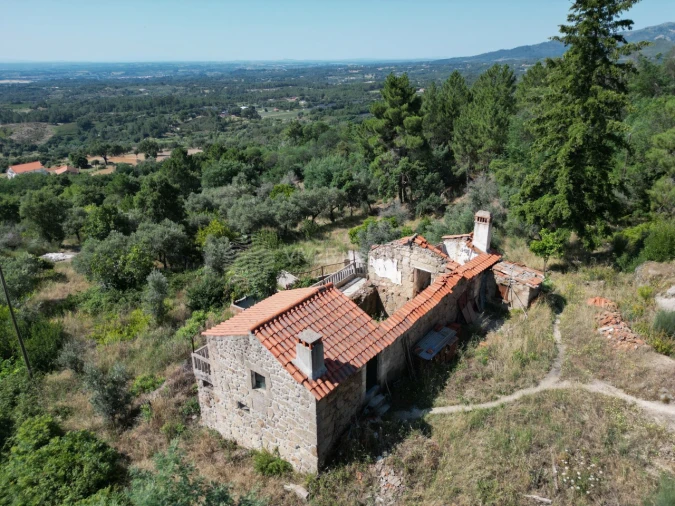 Terreno Agricola ou Rústico para Venda em Vale de Prazeres e Mata da Rainha Foto 2