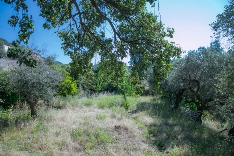 Terreno Agricola ou Rústico para Venda em Vale de Prazeres e Mata da Rainha Foto 23