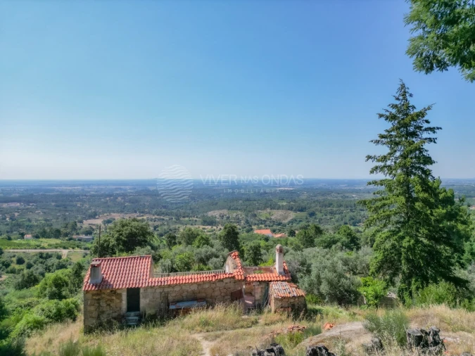 Terreno Agricola ou Rústico para Venda em Vale de Prazeres e Mata da Rainha Foto 27