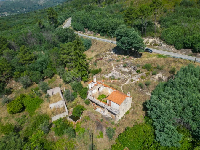 Terreno Agricola ou Rústico para Venda em Vale de Prazeres e Mata da Rainha Foto 34