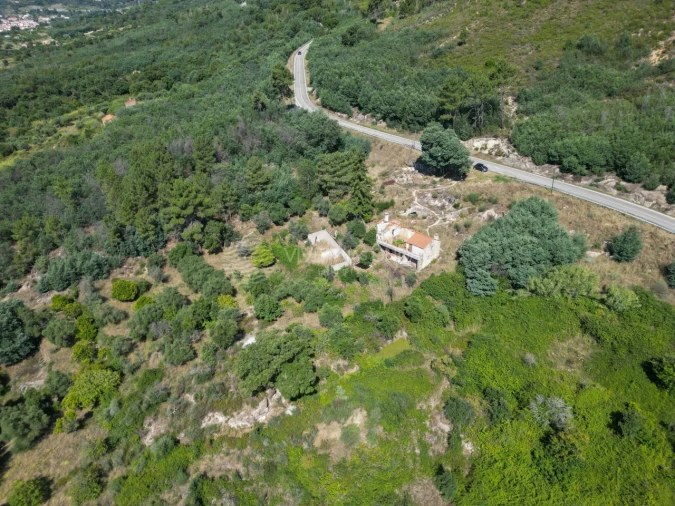 Terreno Agricola ou Rústico para Venda em Vale de Prazeres e Mata da Rainha Foto 39
