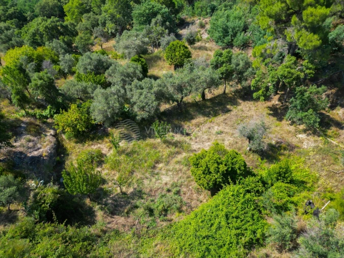 Terreno Agricola ou Rústico para Venda em Vale de Prazeres e Mata da Rainha Foto 40