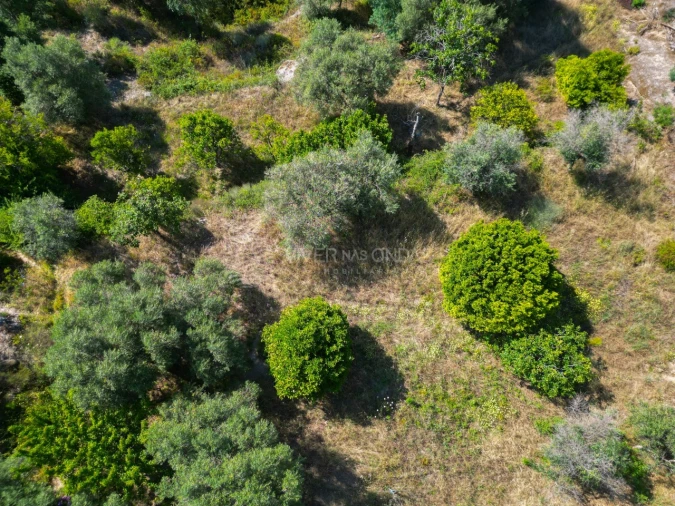 Terreno Agricola ou Rústico para Venda em Vale de Prazeres e Mata da Rainha Foto 42