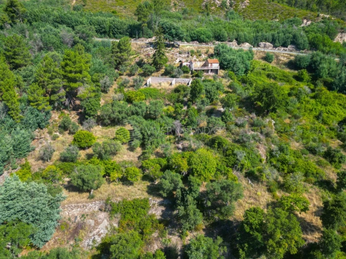 Terreno Agricola ou Rústico para Venda em Vale de Prazeres e Mata da Rainha Foto 43