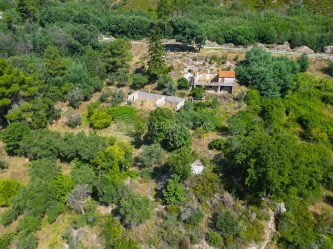 Terreno Agricola ou Rústico para Venda em Vale de Prazeres e Mata da Rainha Foto 45