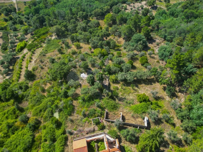 Terreno Agricola ou Rústico para Venda em Vale de Prazeres e Mata da Rainha Foto 48