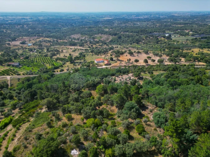 Terreno Agricola ou Rústico para Venda em Vale de Prazeres e Mata da Rainha Foto 50