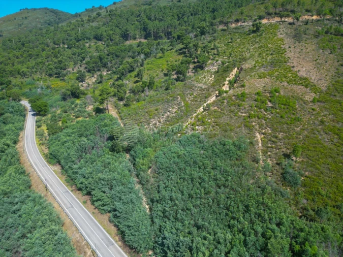 Terreno Agricola ou Rústico para Venda em Vale de Prazeres e Mata da Rainha Foto 53