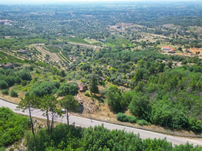 Terreno Agricola ou Rústico para Venda em Vale de Prazeres e Mata da Rainha Foto 58