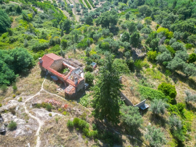 Terreno Agricola ou Rústico para Venda em Vale de Prazeres e Mata da Rainha Foto 60