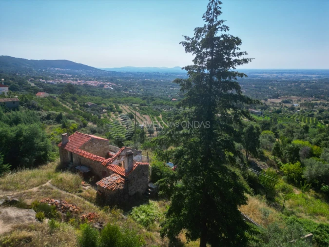 Terreno Agricola ou Rústico para Venda em Vale de Prazeres e Mata da Rainha Foto 61