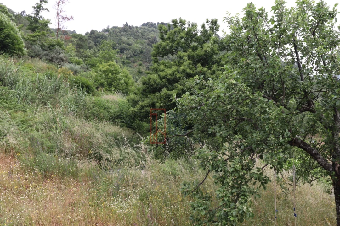 Moradia T3 para Venda em Santa Marinha do Zezere Foto 36