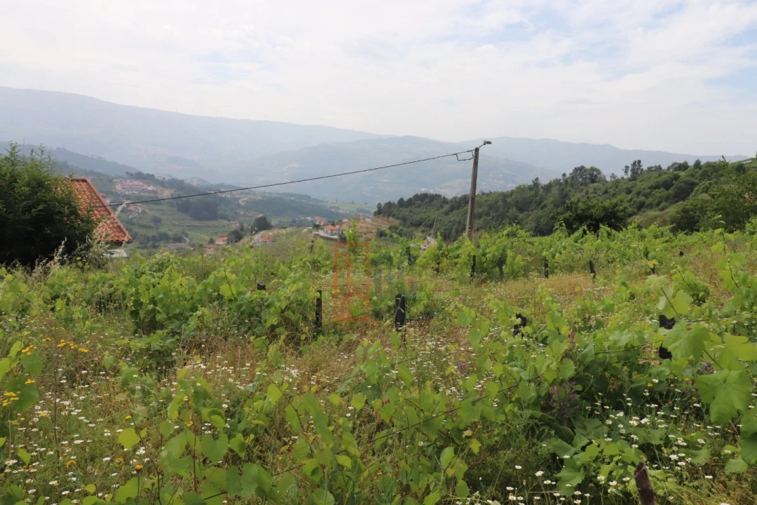 Moradia T3 para Venda em Santa Marinha do Zezere Foto 39