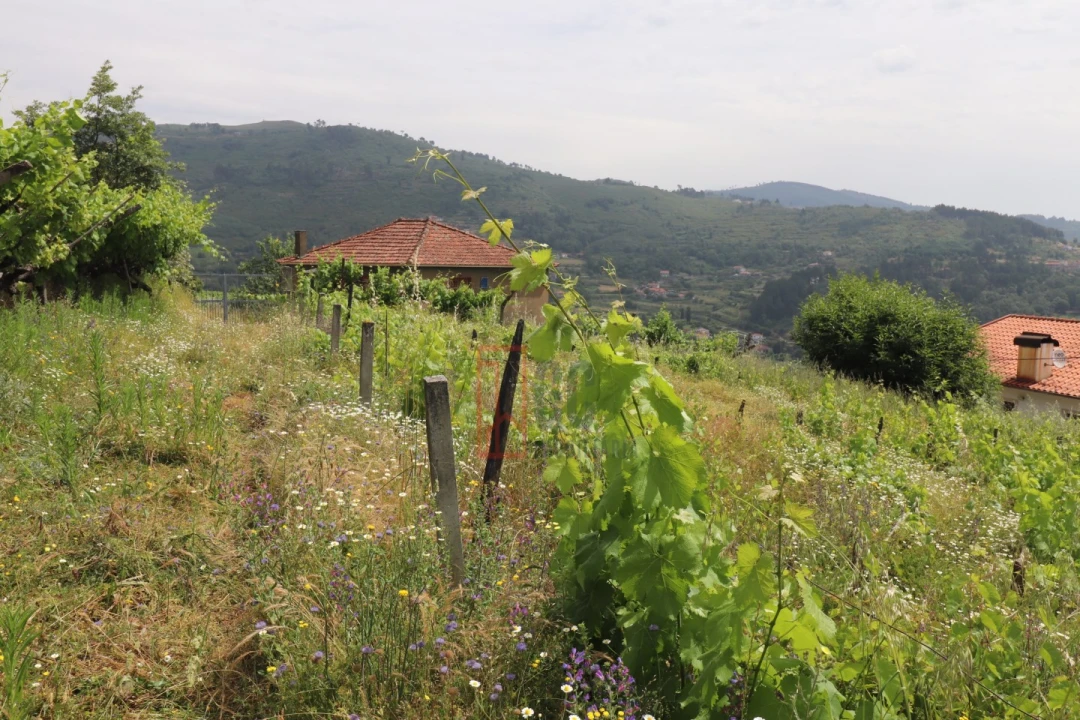 Moradia T3 para Venda em Santa Marinha do Zezere Foto 40