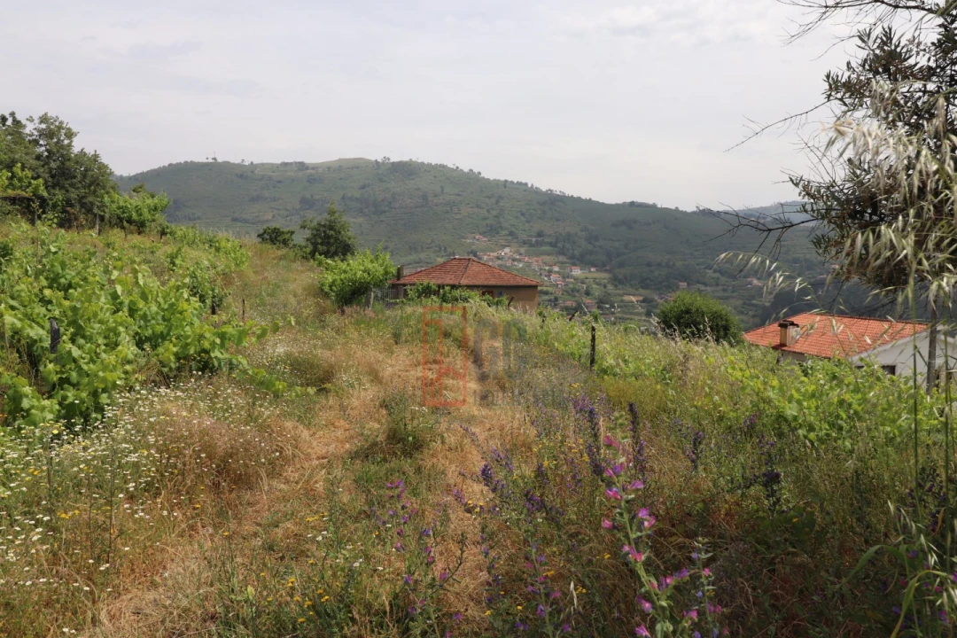 Moradia T3 para Venda em Santa Marinha do Zezere Foto 42