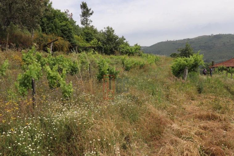 Moradia T3 para Venda em Santa Marinha do Zezere Foto 34