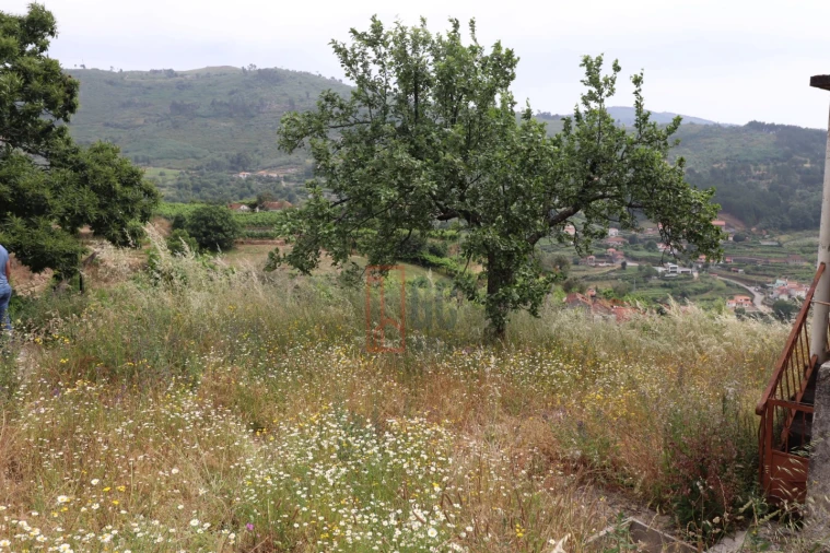 Moradia T3 para Venda em Santa Marinha do Zezere Foto 35