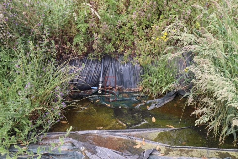 Moradia T3 para Venda em Santa Marinha do Zezere Foto 33