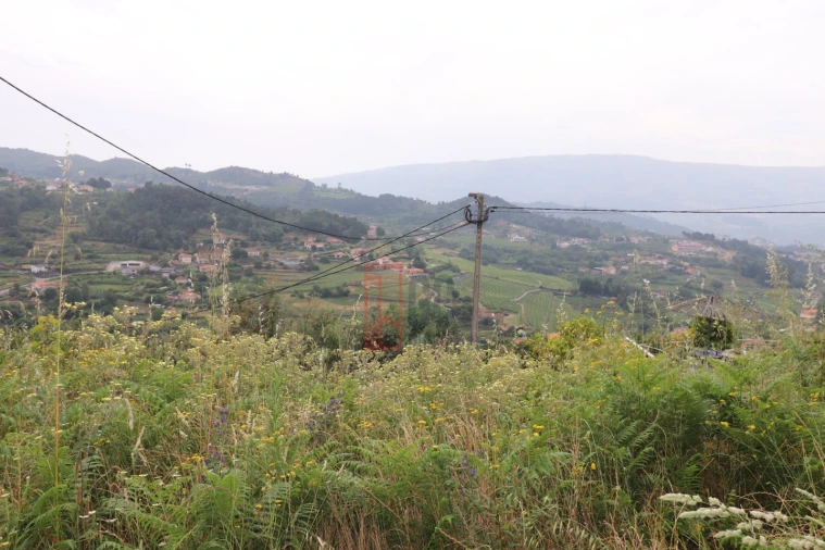 Moradia T3 para Venda em Santa Marinha do Zezere Foto 38