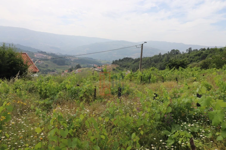 Moradia T3 para Venda em Santa Marinha do Zezere Foto 39