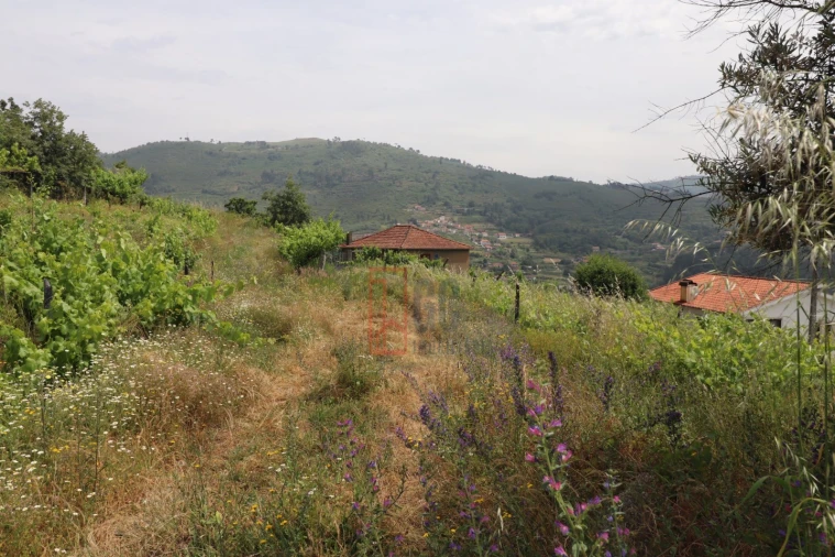 Moradia T3 para Venda em Santa Marinha do Zezere Foto 42