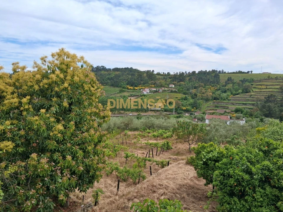 Quinta T4 para Venda em Poiares e Canelas Foto 17