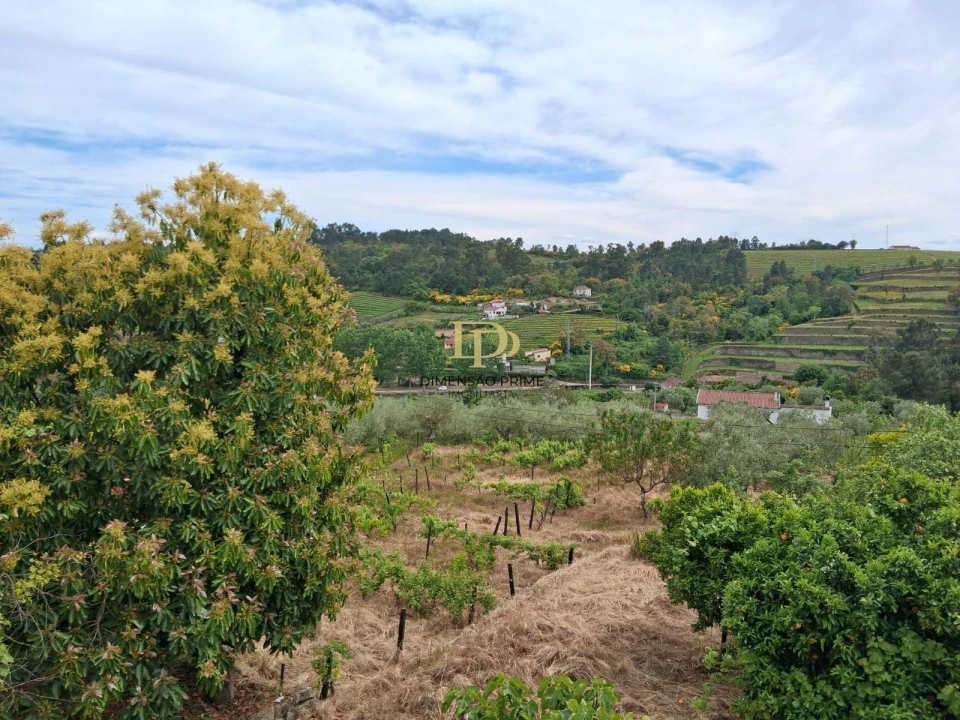Quinta T4 para Venda em Poiares e Canelas Foto 17