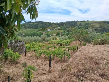 Quinta T4 para Venda em Poiares e Canelas