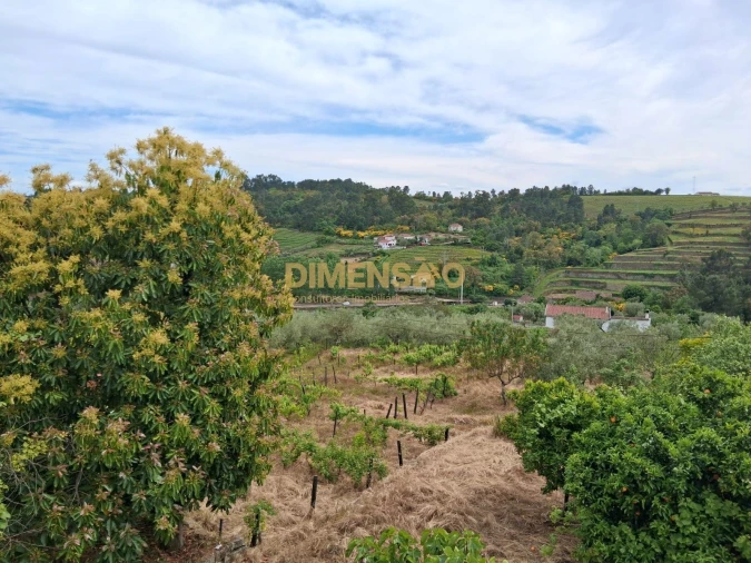 Quinta T4 para Venda em Poiares e Canelas Foto 17