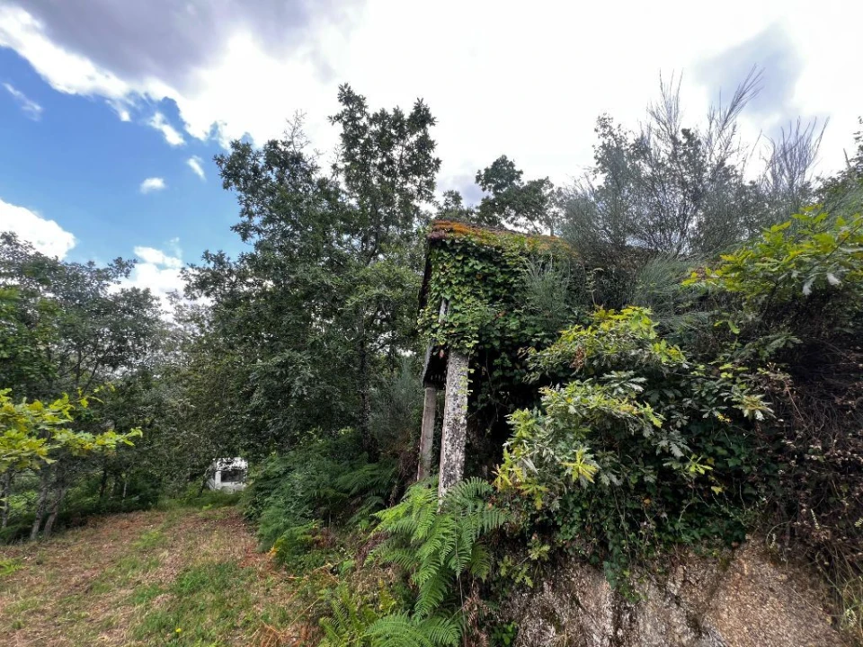 Quinta T3 para Venda em Gondar Foto 16