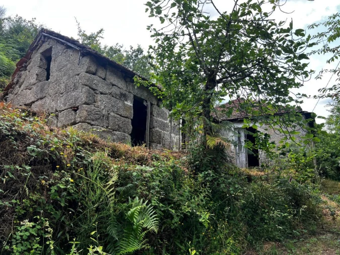 Quinta T3 para Venda em Gondar Foto 14