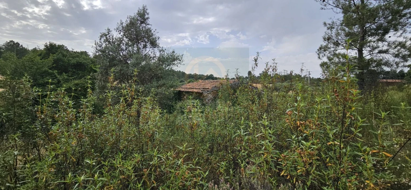 Terreno para Venda em Sarnadas de Rodão Foto 14