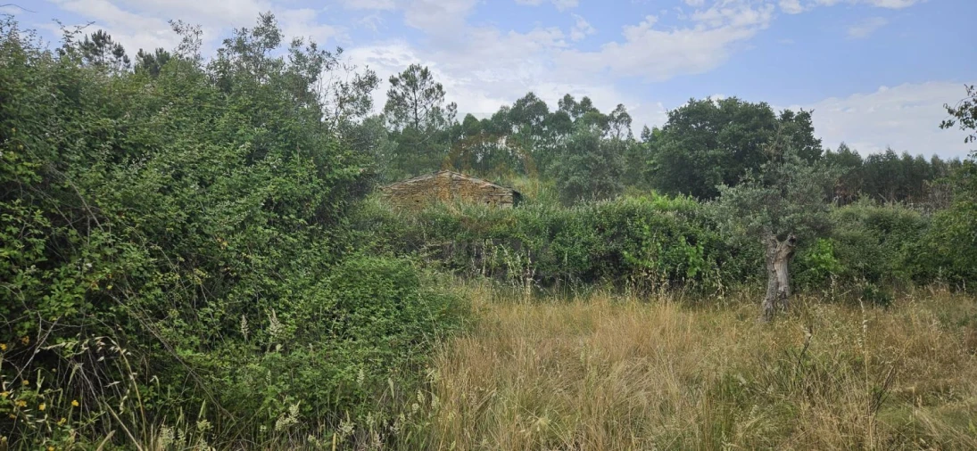 Terreno para Venda em Sarnadas de Rodão Foto 7