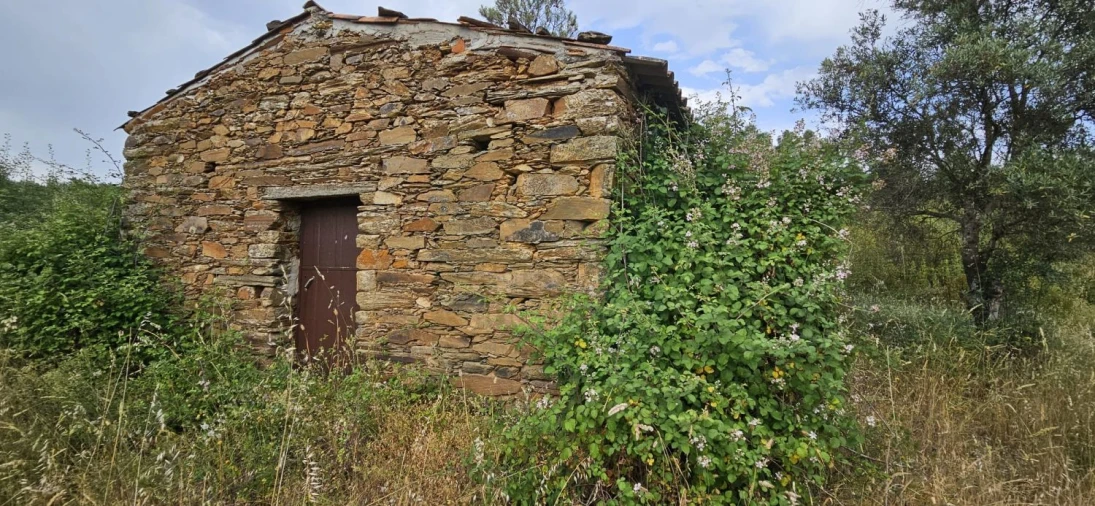 Terreno para Venda em Sarnadas de Rodão