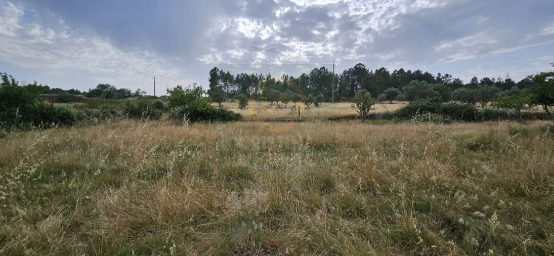 Terreno para Venda em Sarnadas de Rodão Foto 15